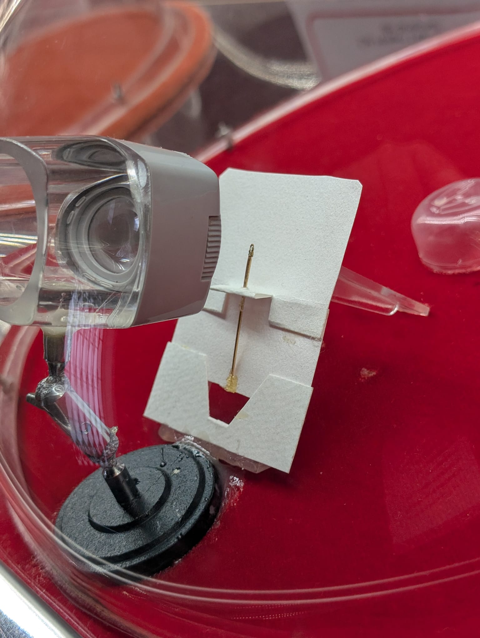 Zo klein als een speldeknop